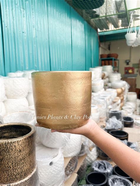 Tonie's Plants & Clay pot, Farmers Garden, Cubao, Quezon City .